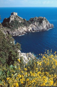 Amalfi Coast49